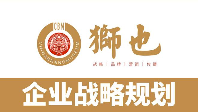 品牌智库四川成都知名企业的品牌策划战略专业解析战略咨询公司(图4)
